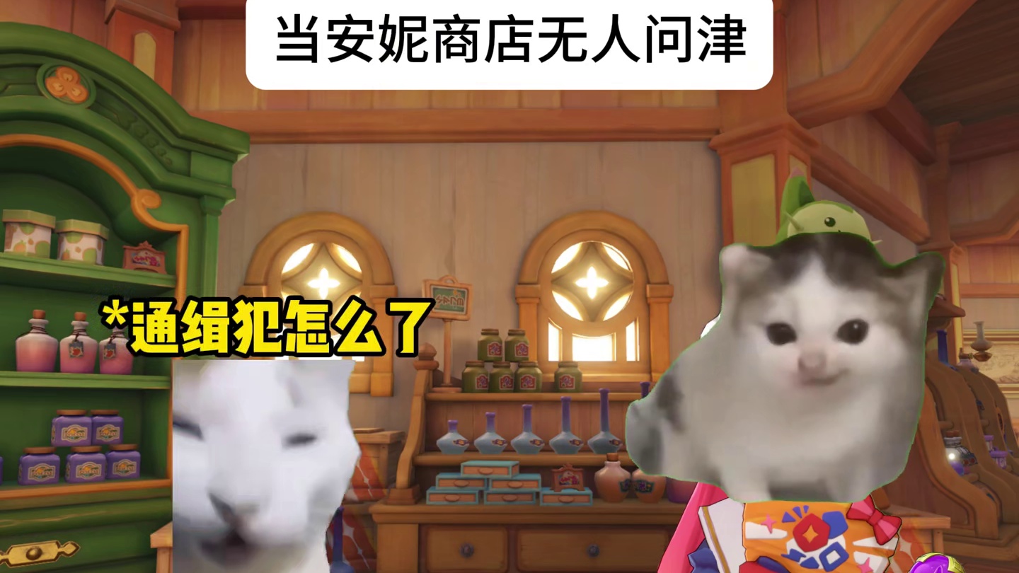 当安妮商店无人问津
