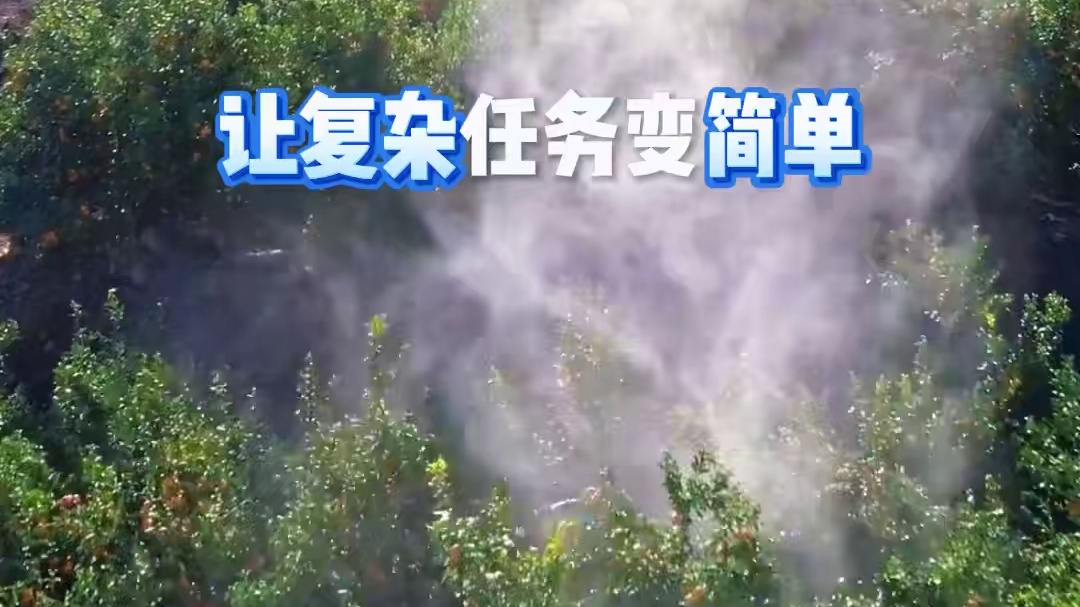 大成航空挂载，你的最优选