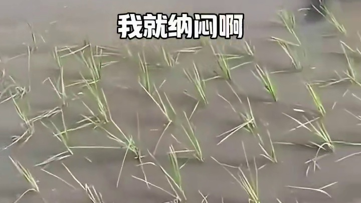 这个叫南水北调！