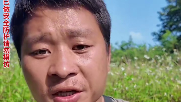 海岛三十四 这个小伙在海岛搞起了无花果繁殖，还收获了这么大的龙虾和螃蟹，快来看看发生了什么吧！