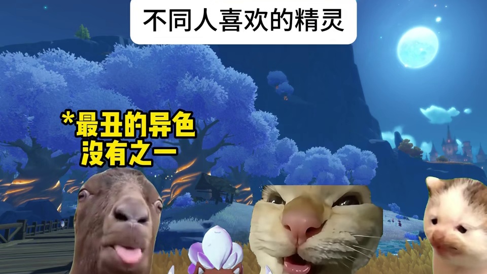 不同人喜欢的精灵