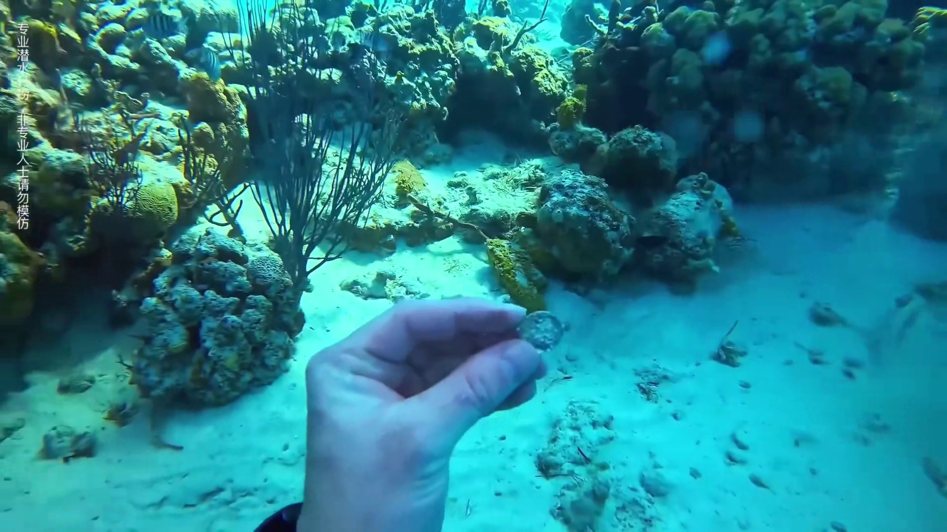在旅游区的浮潜基地寻宝都能捡到什么宝贝？