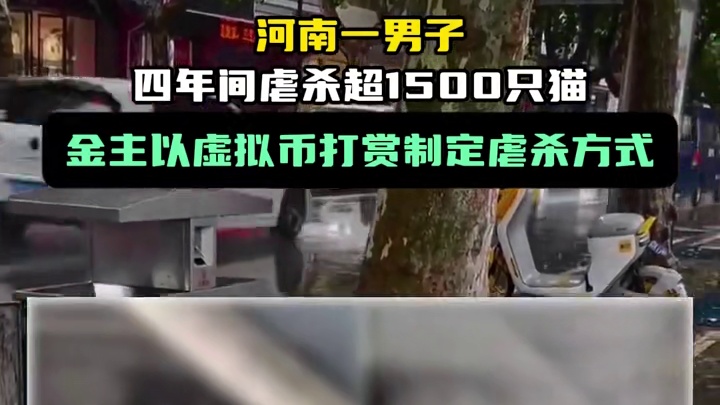 河南一男子四年间虐杀超1500只猫，金主以虚拟币打赏制定虐杀方式