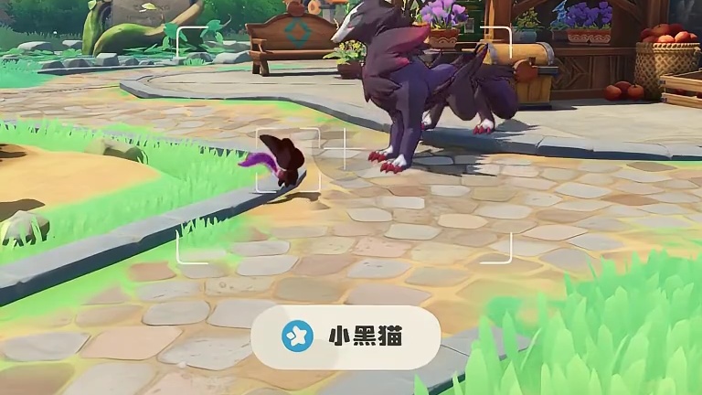 洛克王国精灵观察：小黑猫。小黑猫小黑猫我们喜欢你！