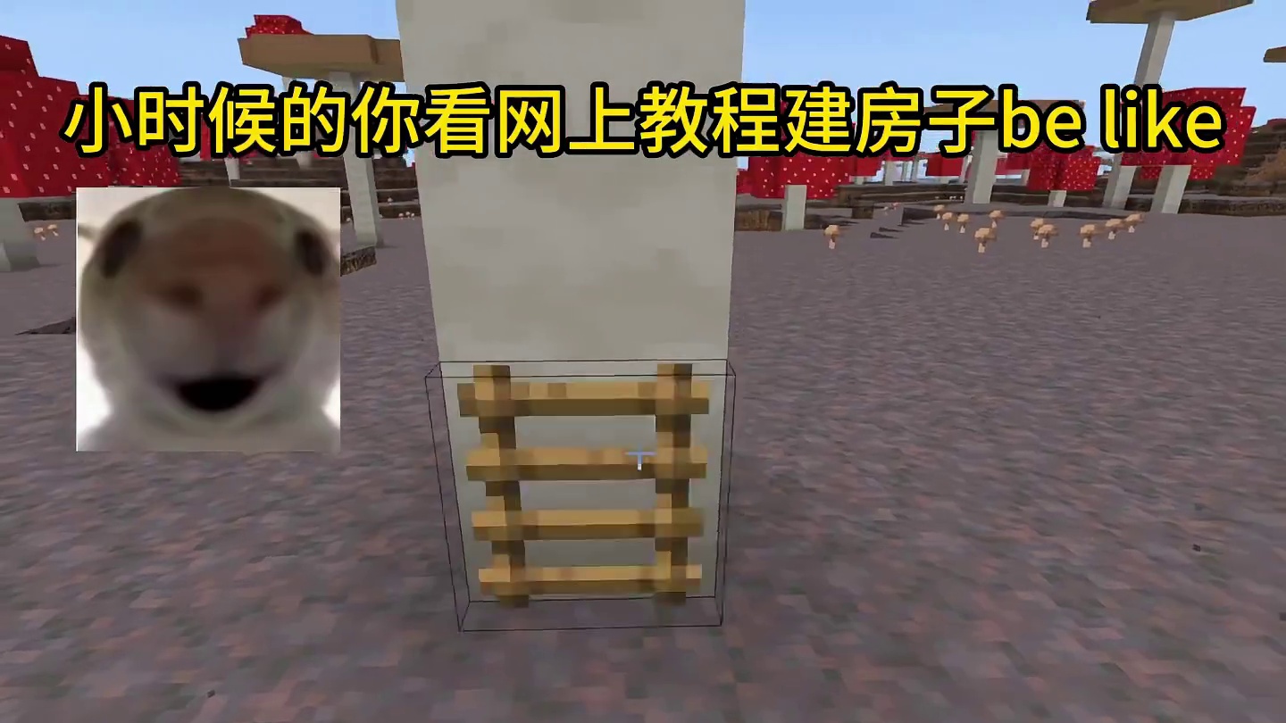 我的世界：小时候的你看网上教程建房子be like