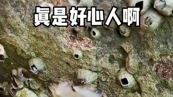 这波操作我给满分！