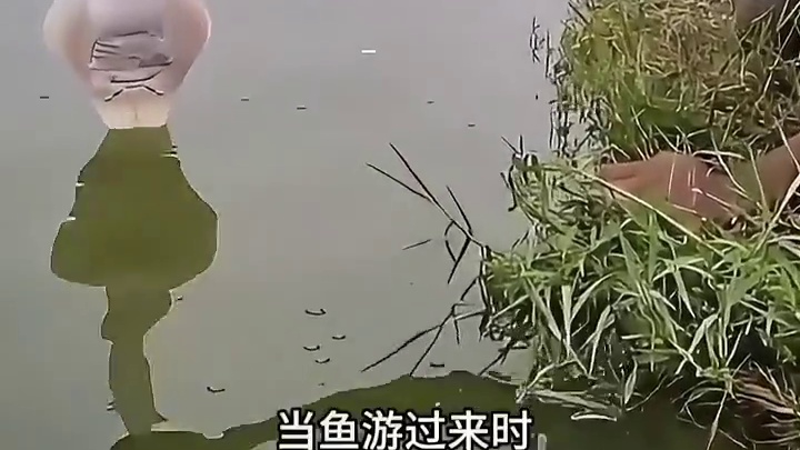 这样捕鱼我是头一次见到