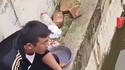 1337有鱼，你看大多都下护了