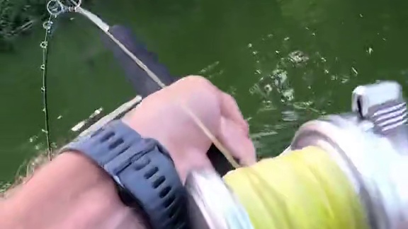 我以为是看挂鱼摆拍  是我肤浅了