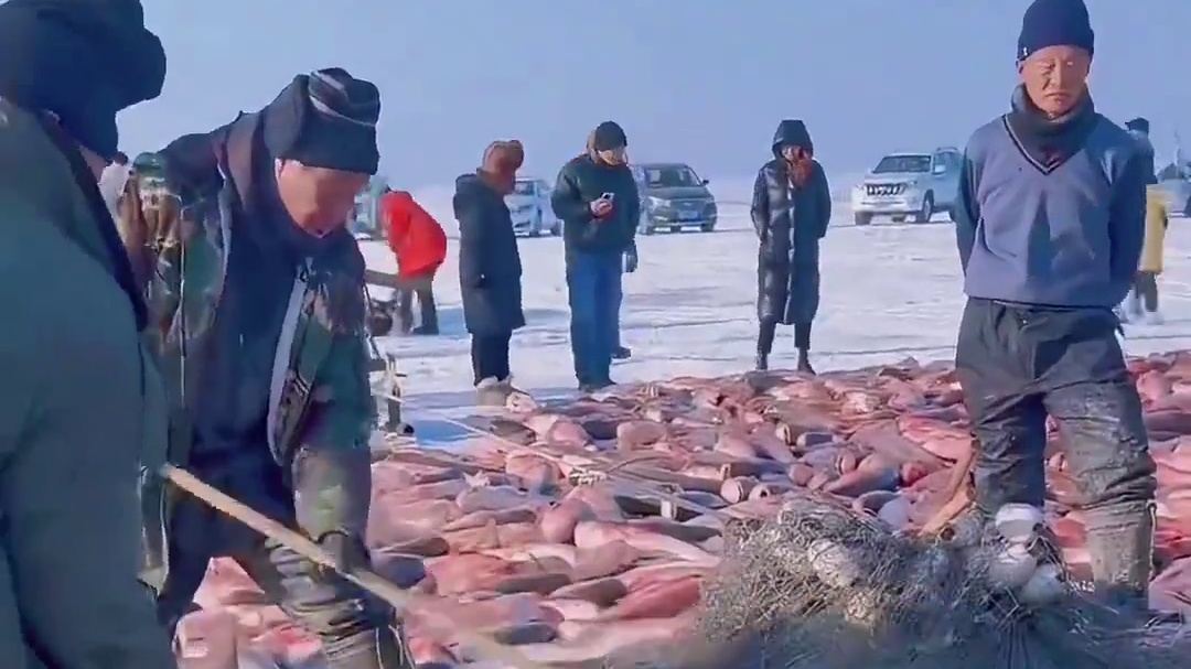 看看东北人是怎么捕鱼的