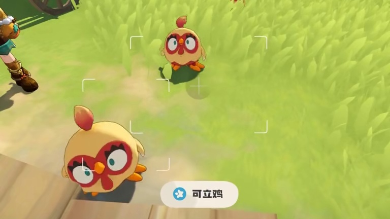 洛克王国精灵观察：可立鸡。最有礼仪修养的小鸡！