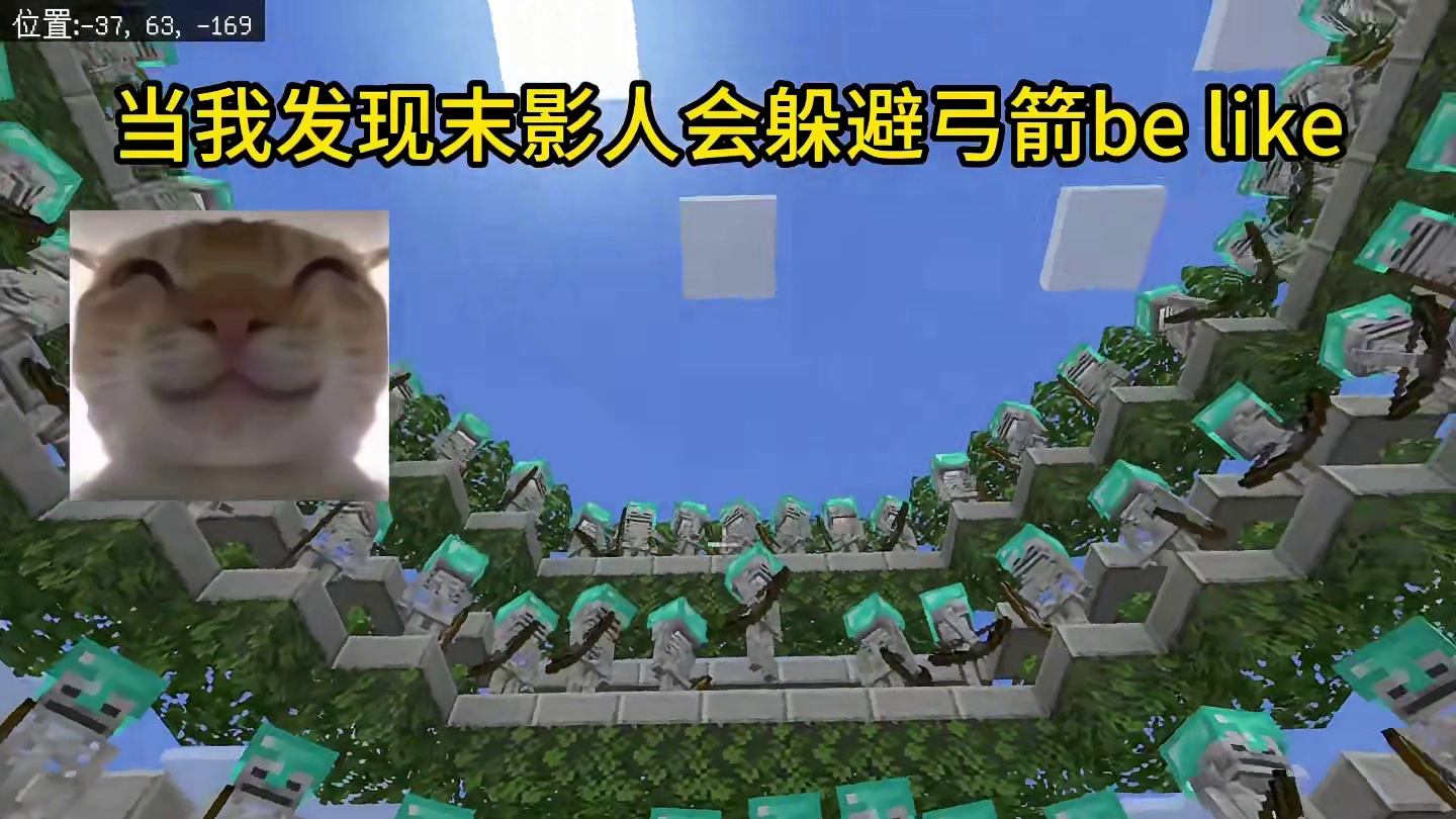 我的世界：当我发现末影人会躲避弓箭be like