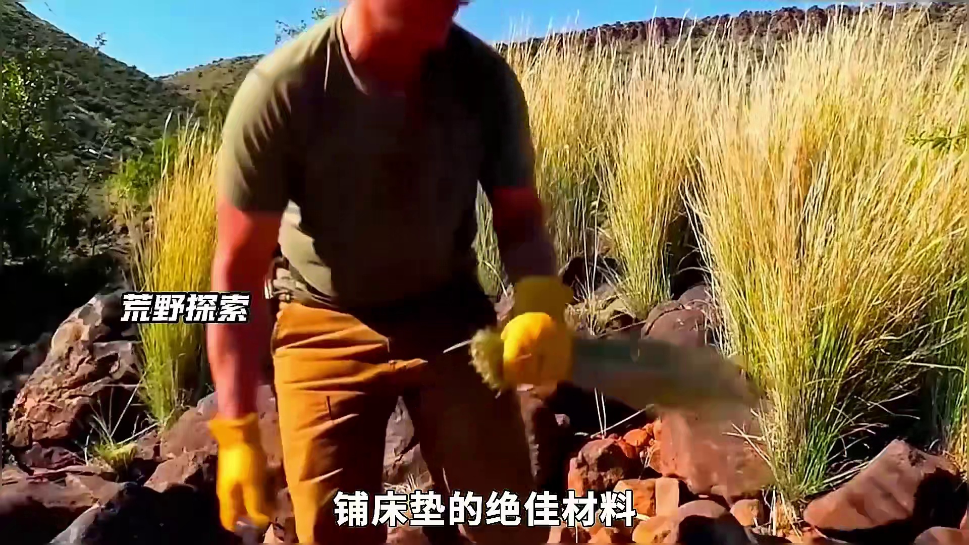 10名选手在非洲荒漠展开对决，她扛野猪钓大鱼，他们饿吐退赛被抬走