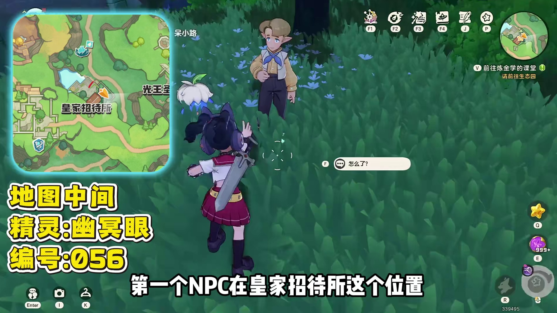 20个NPC隐藏华丽宝箱?!分光水晶！国王球！高级球！ #