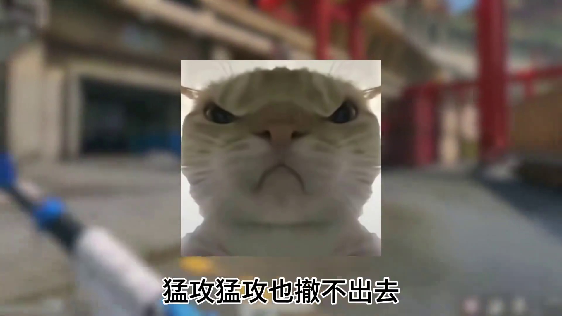 原来三角洲早已步入虚假繁荣阶段