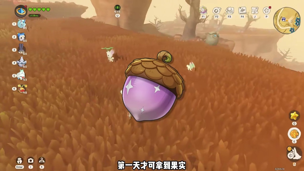 周五更新预告，精灵盒子终于优化