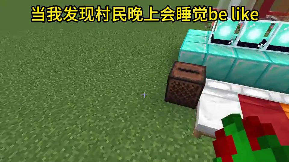 我的世界：当我发现村民晚上会睡觉be like