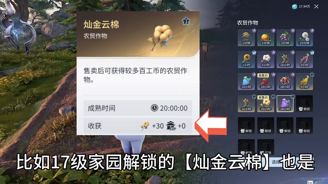 炎霞辣椒