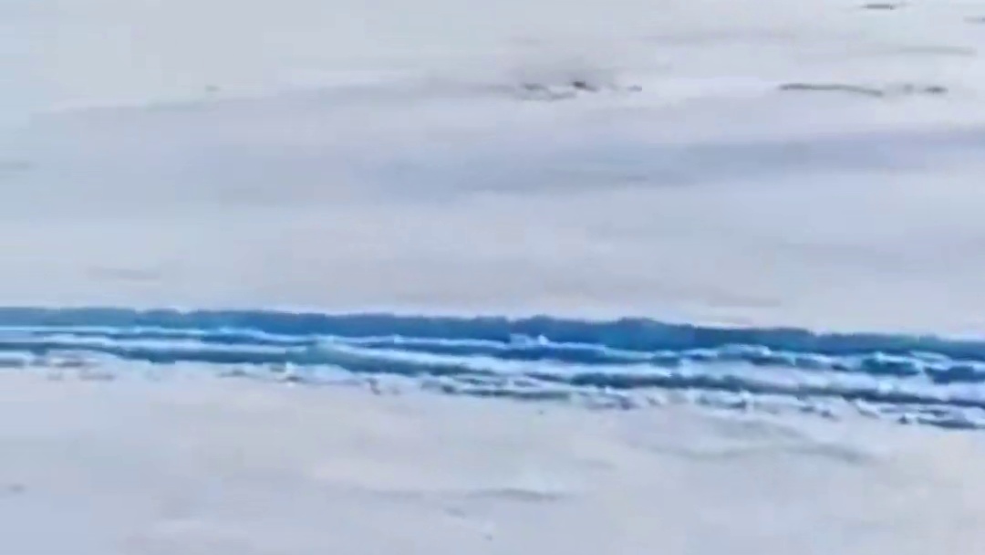 躲藏在雪地洞穴内的野兔遭到猎犬四面合围