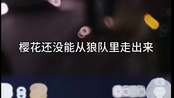 没想到樱花被整整孤立半年了。