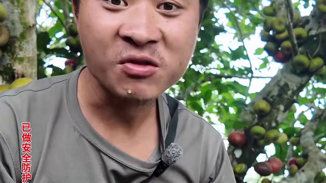 海岛三十八 这个小伙在海岛抓到了这么大个章鱼，还请好邻居喝了鱼汤，快来看看发生了什么吧！