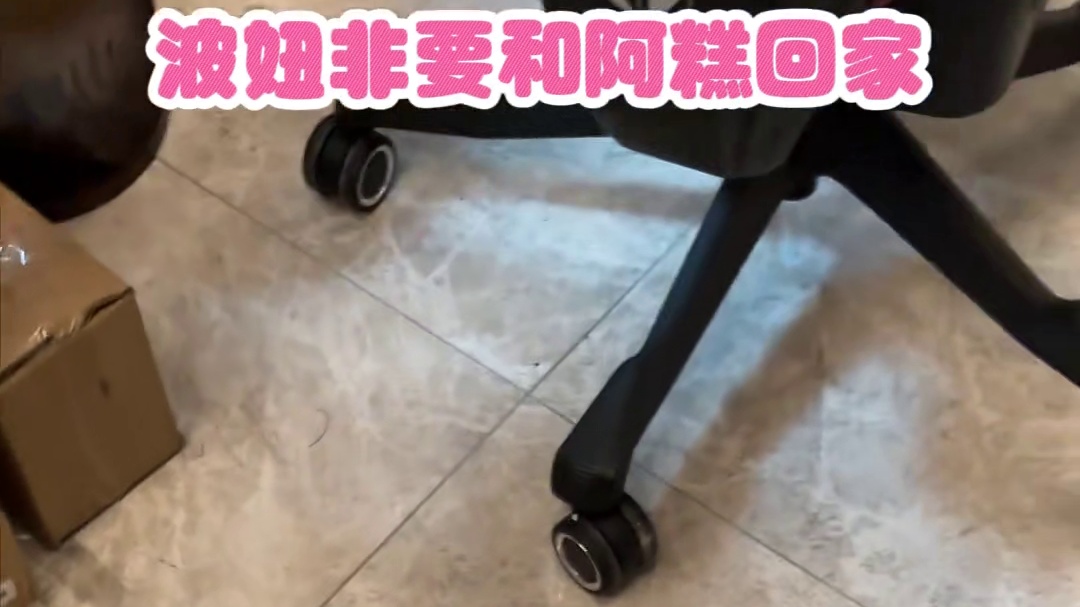 看看宠物都在干嘛？