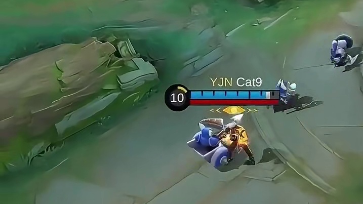 YJN调皮担当Cat9
控温打法 只撩不打