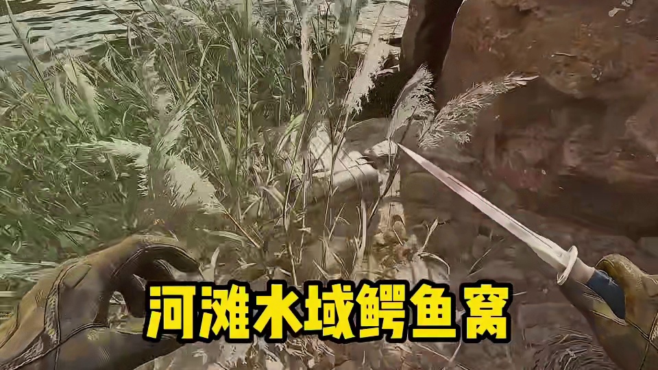 三角洲大坝 11 个策划盒子全点位狗牌换大红速摸攻略