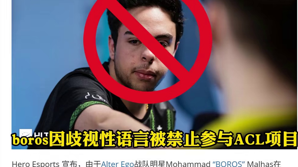 大快人心：boros因歧视性语言被禁止参与ACL项目