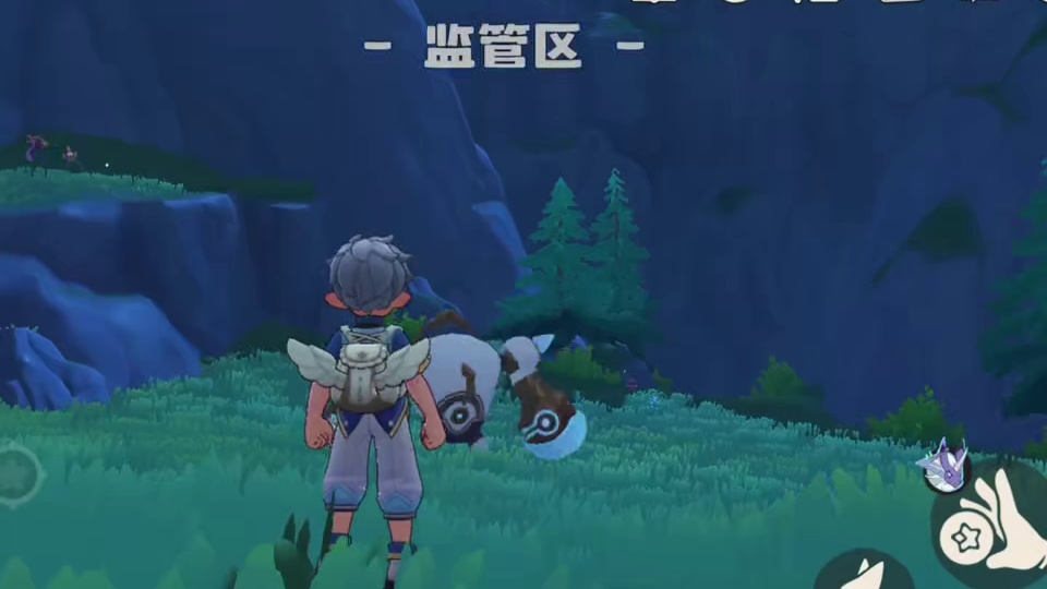 洛手隐藏最深的两只极品精灵获取点位