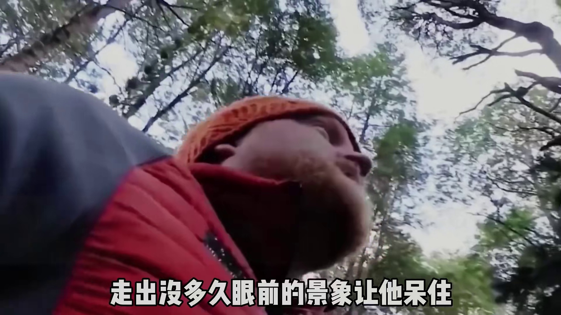 荒野独居富勒的夺冠之路，挨饿87天赢下50万美元