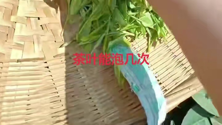泡茶秘决