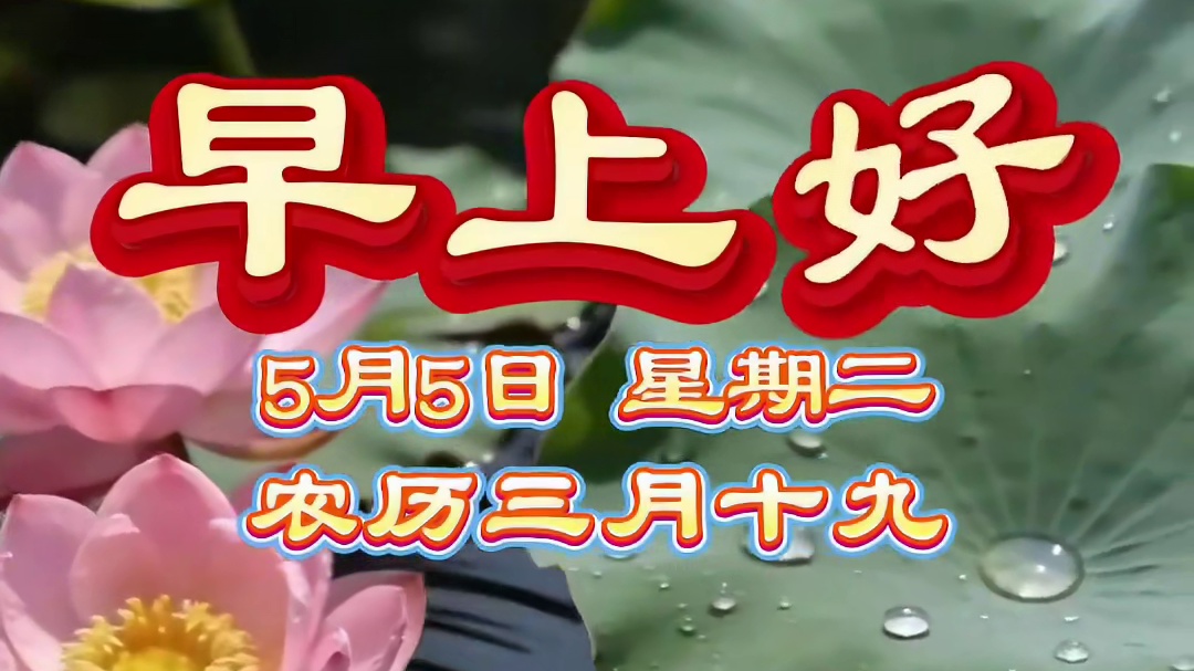 快来接住立夏逢五的爆棚财运！今天是5月5日，农历三月十九，双五临门旺运日，立夏生财节节高！五福临门财