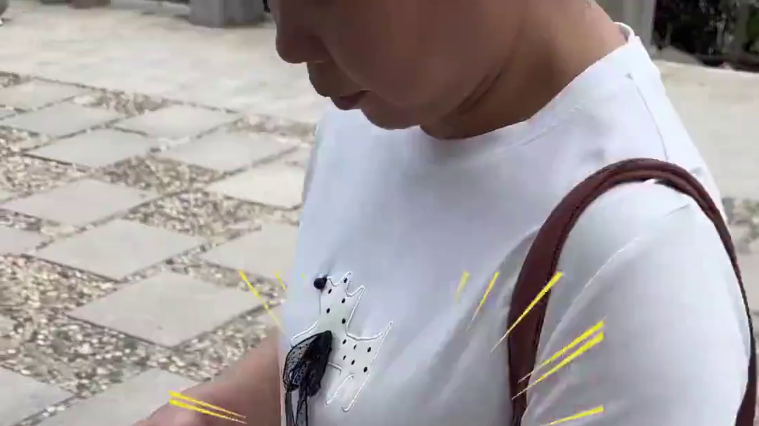 网友在pdd上进货了一箱橙子，五一不休假，挑战去深圳湾卖自制橙汁，一小时赚了一千多......