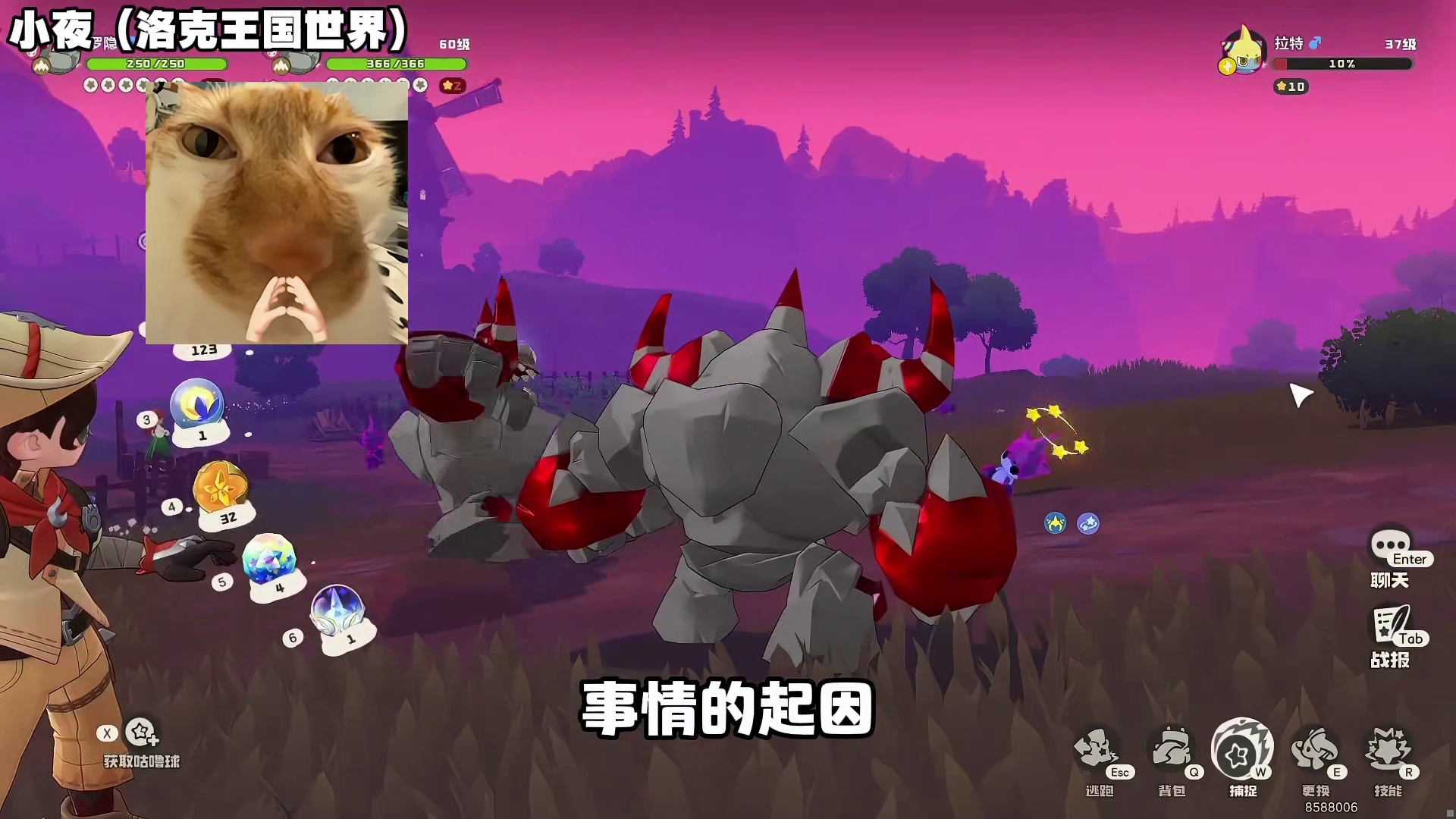 洛手惊现神人玩家，反复殴打一只精灵上百次，只为刷出异色