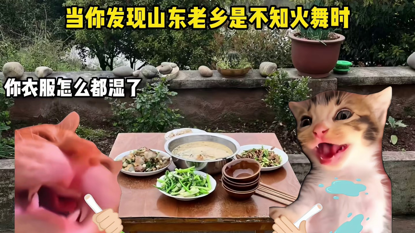当你发现山东老乡是不知火舞时
