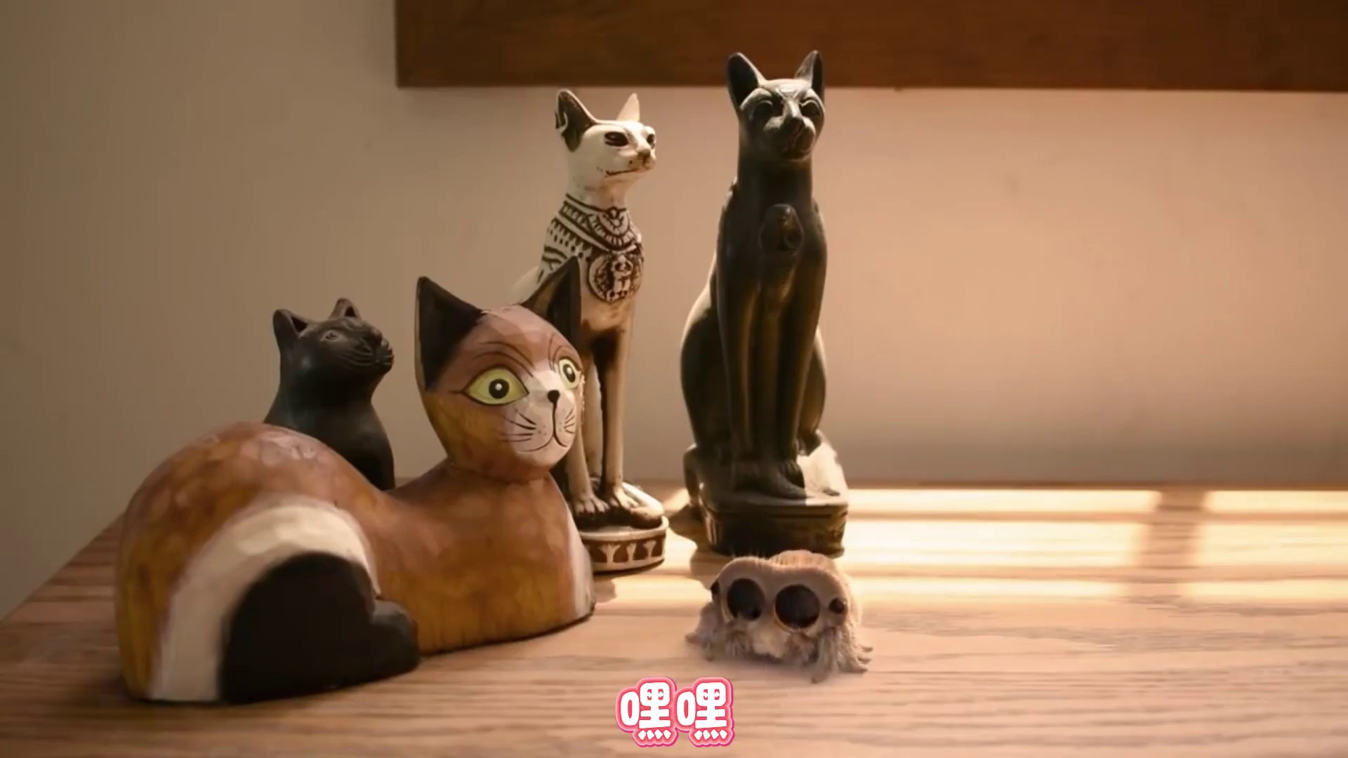 豫卡斯小蜘蛛 俺找到了一个挖挖机