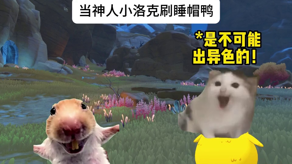 当神人小洛克刷睡帽鸭