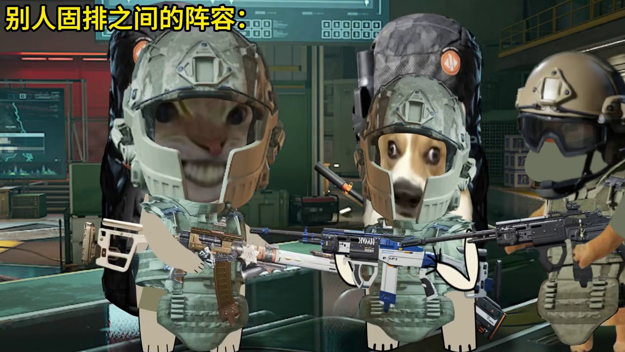 别人的阵容VS我和兄弟的阵容