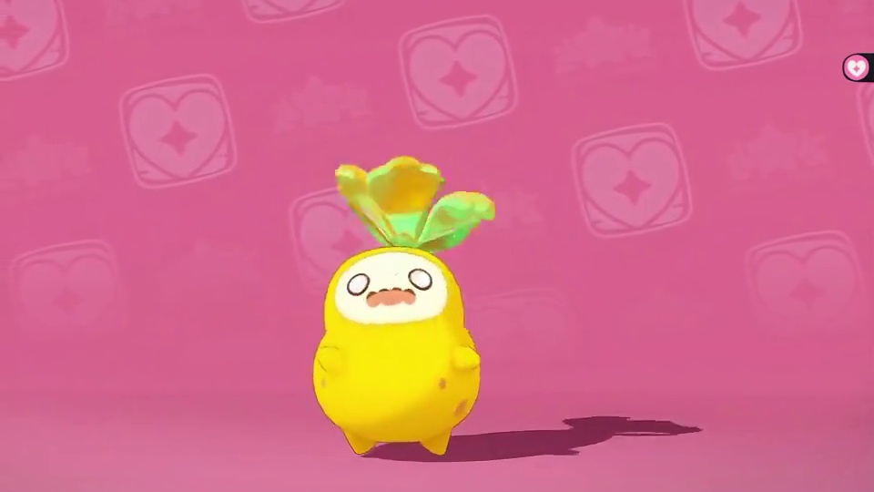 谁能拒绝可爱的萌系萌王:菊花梨!