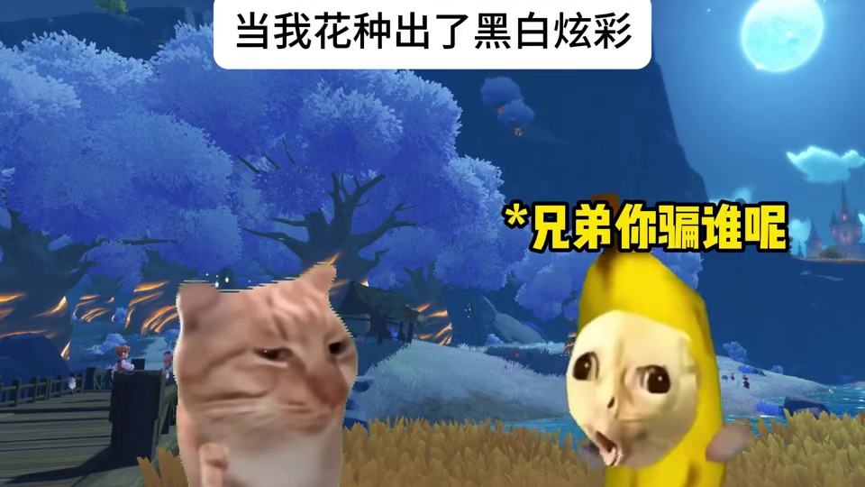 当我花种出了黑白炫彩