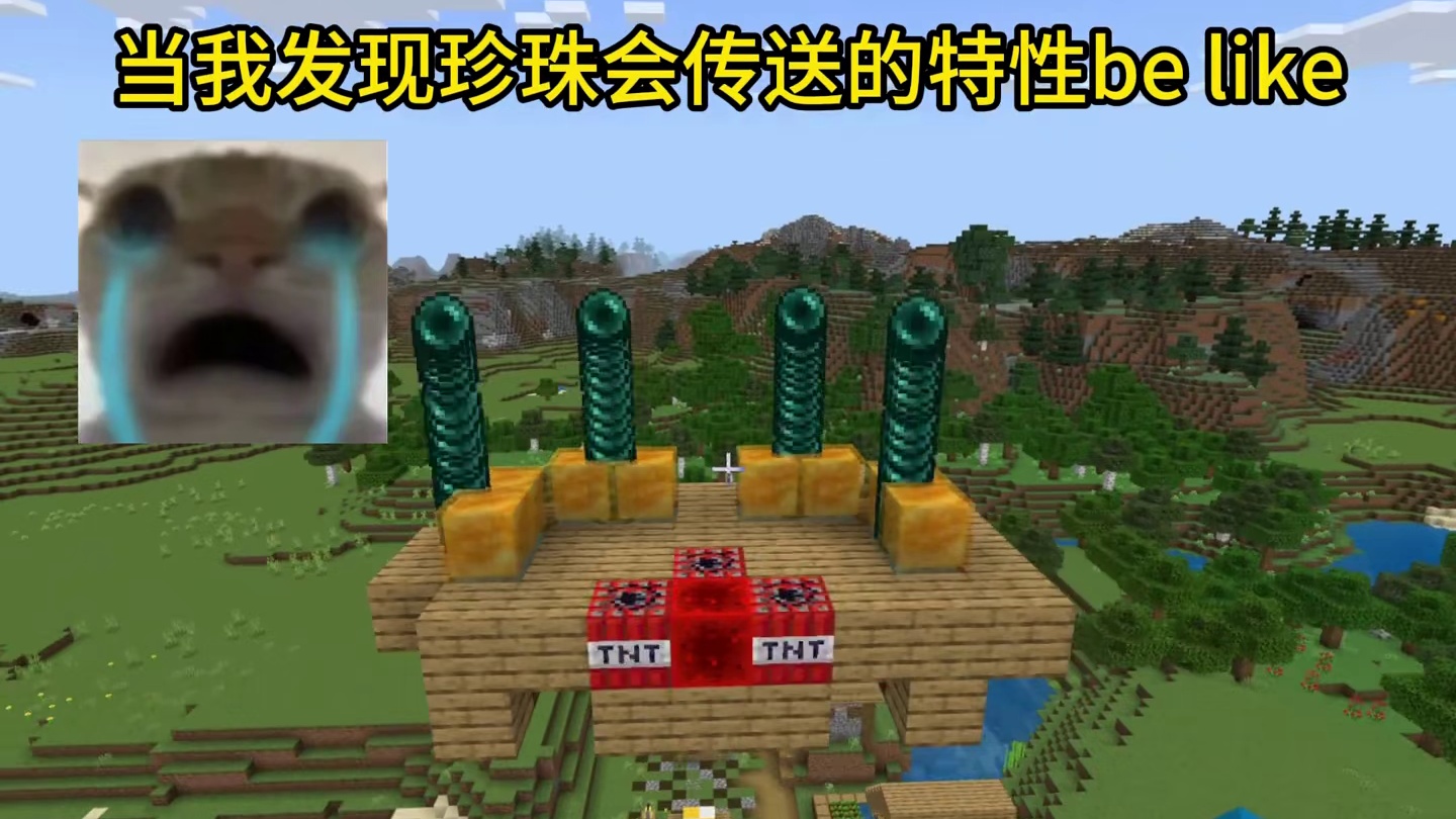 我的世界：当我发现珍珠会传送的特性be like