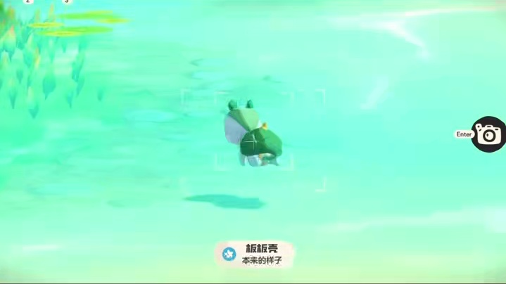 回复