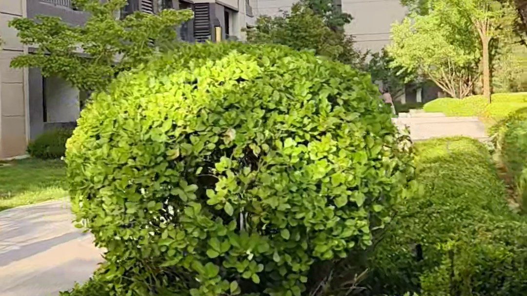 我的那个他在哪？