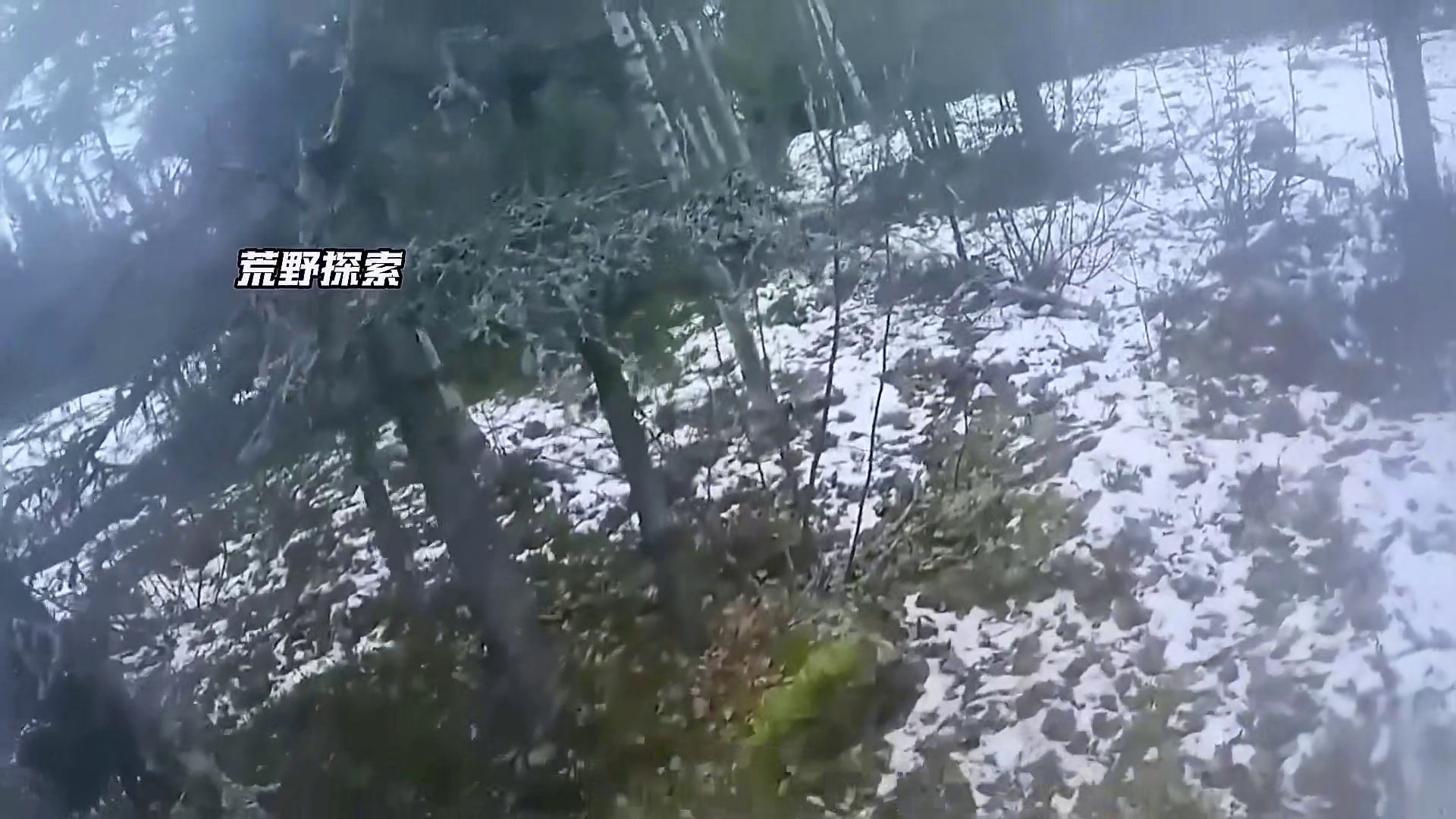 10人北极荒野求生，乔丹大神再次捕获20斤狗鱼赢得50万美金