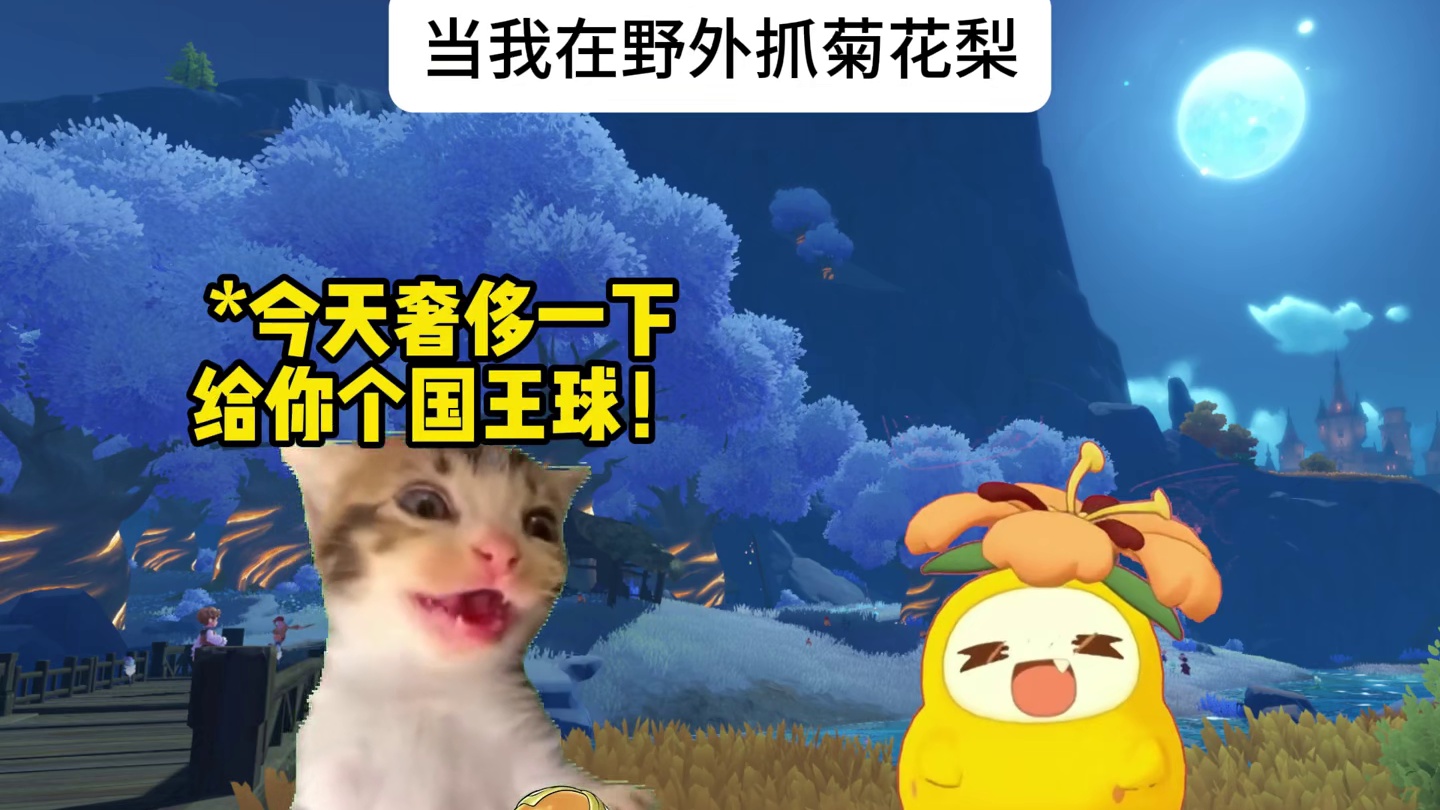 当我在野外抓菊花梨