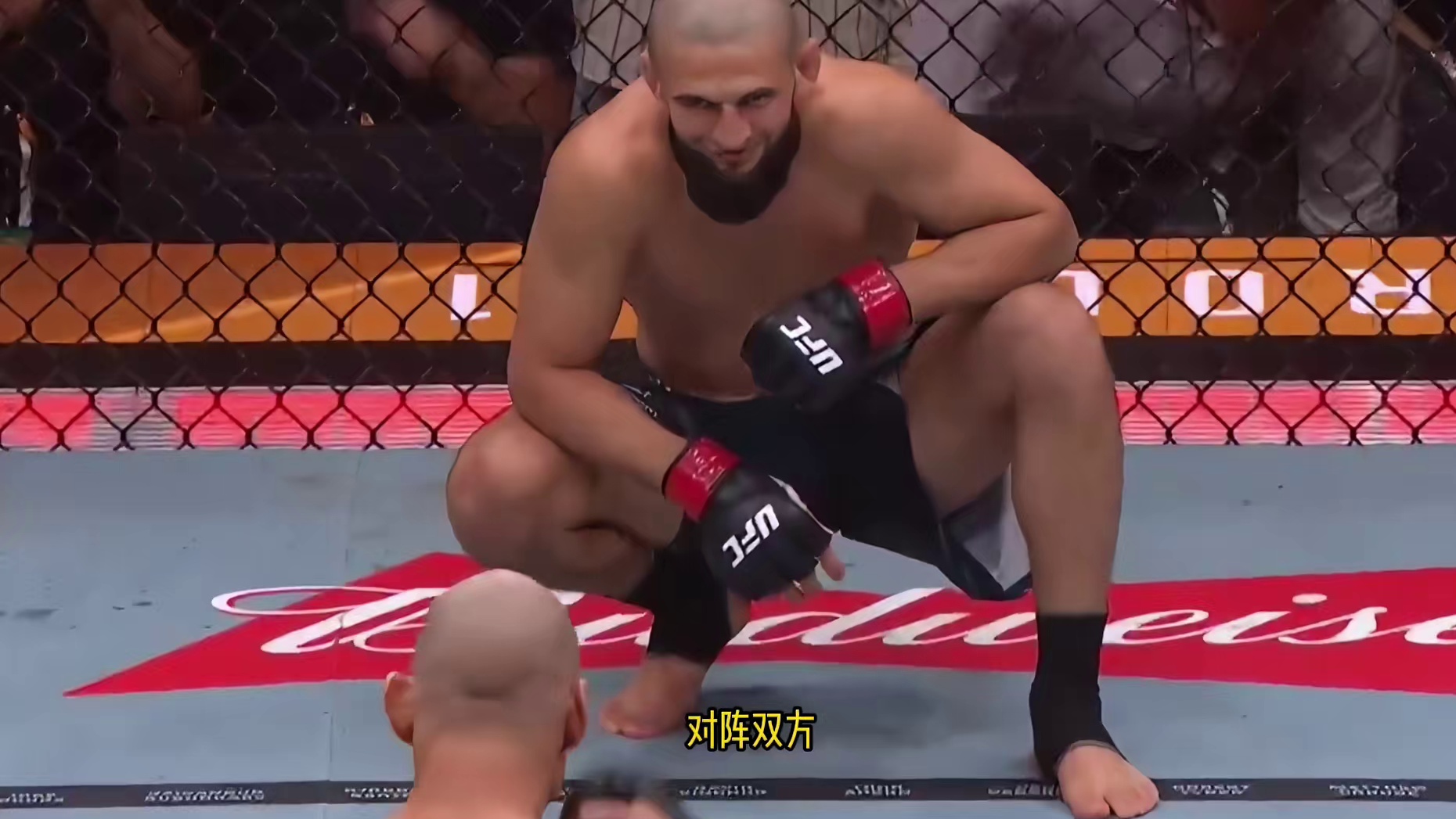 奇马耶夫生涯首败！UFC328中量级冠军赛：斯特里克兰爆冷重夺冠军
