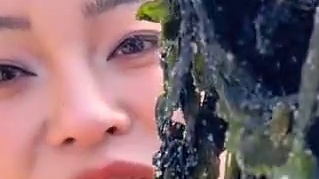 裙带菜涮火锅真的很不错