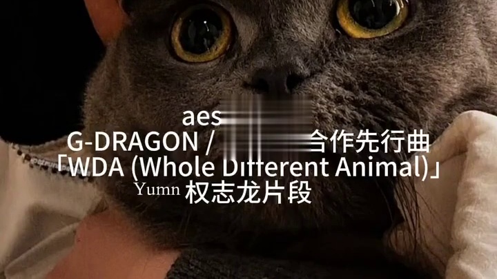 ​​​