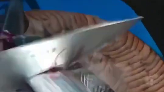 鱼：我还没反应过来就熟了？